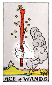 The ace of wands meaning for both upright and reversed position using the Rider waite tarot deck.